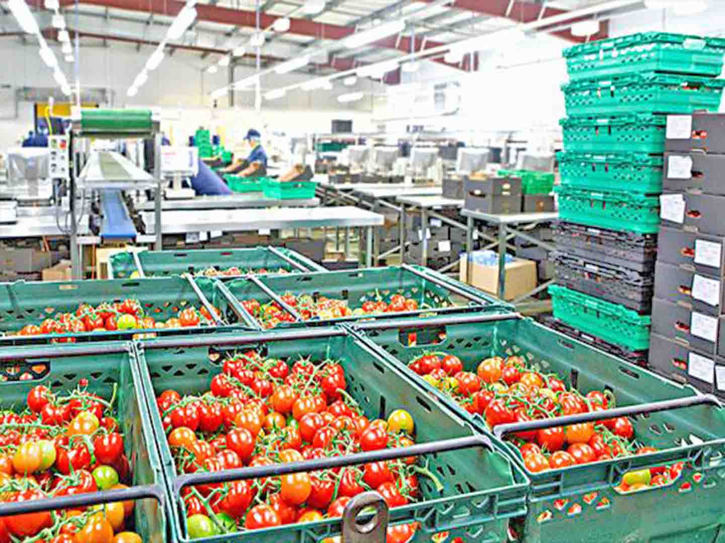 食品加工廠、飼料廠